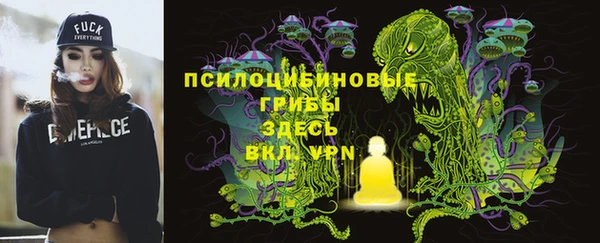прущая мука Белокуриха
