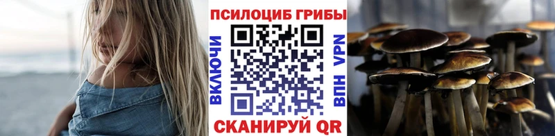 Галлюциногенные грибы GOLDEN TEACHER Владивосток